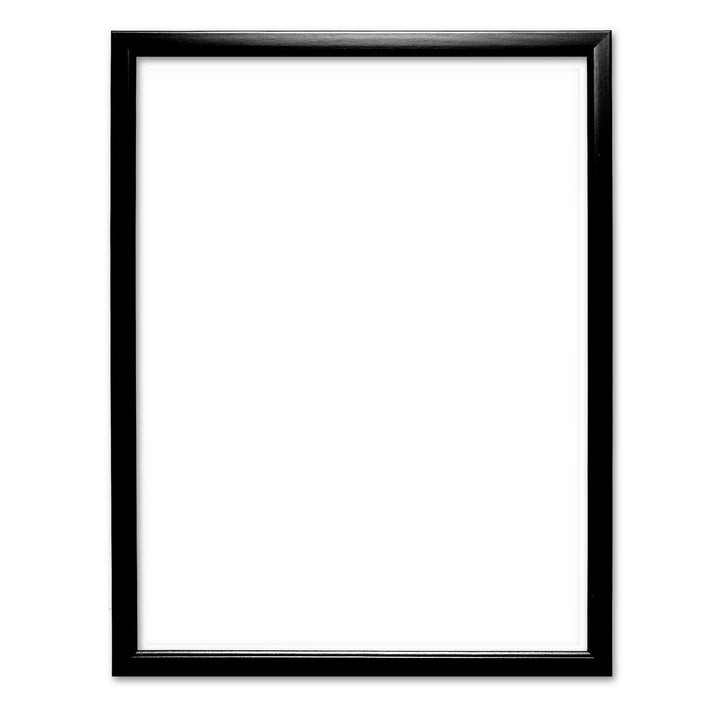 Picture Frame to fit 11x14 inch prints