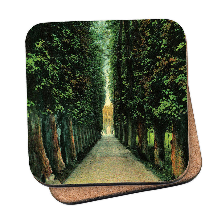 Trinity Avenue Coaster