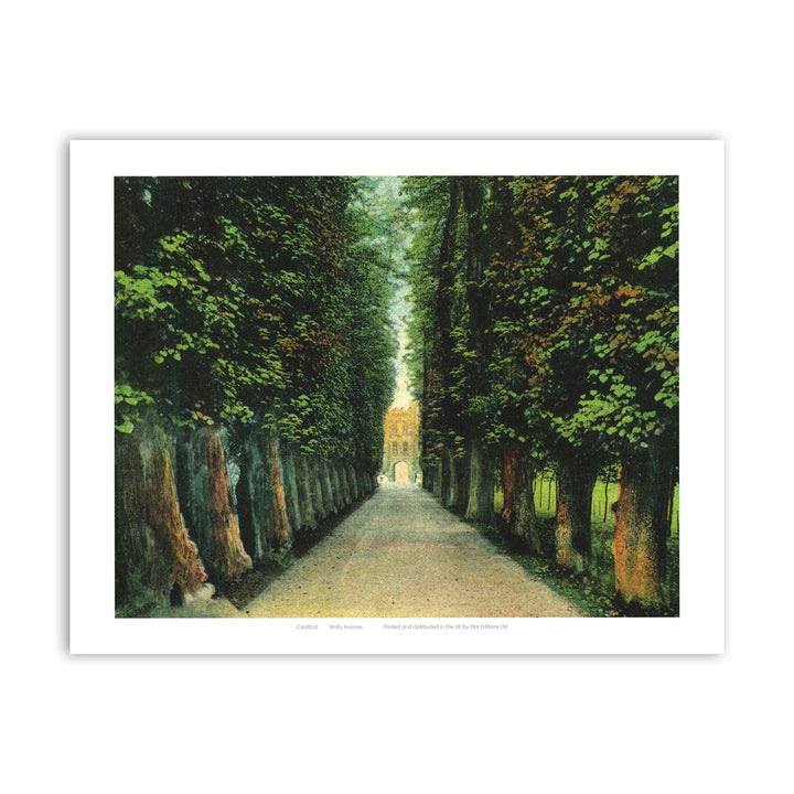 Trinity Avenue Art Print