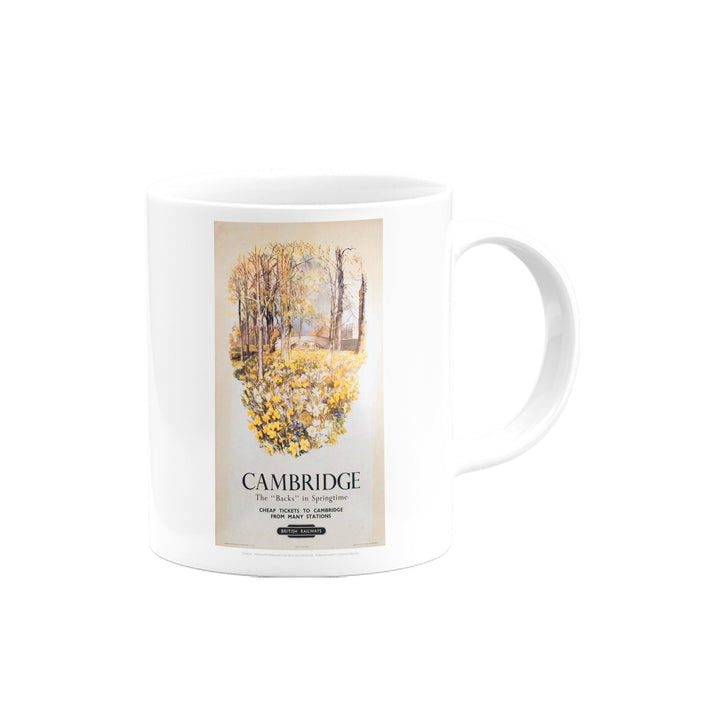 The 'Backs' in Spring Time Mug