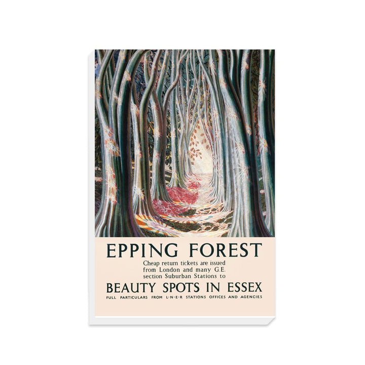 Epping Forest Beauty Spots in Essex - Canvas