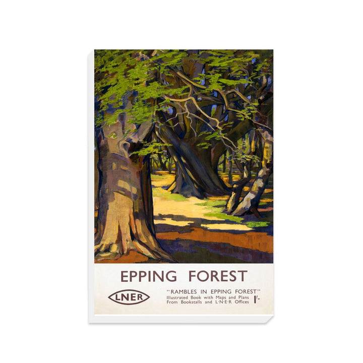 Rambles in Epping Forest - Canvas