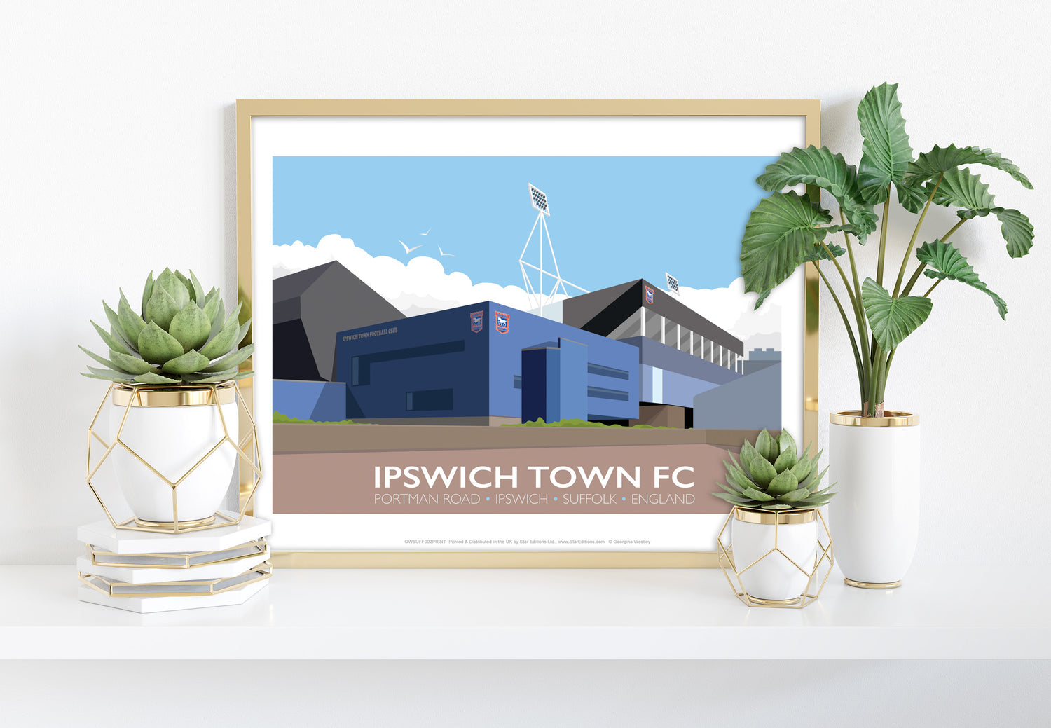 Portman Road, Ipswich - Art Print