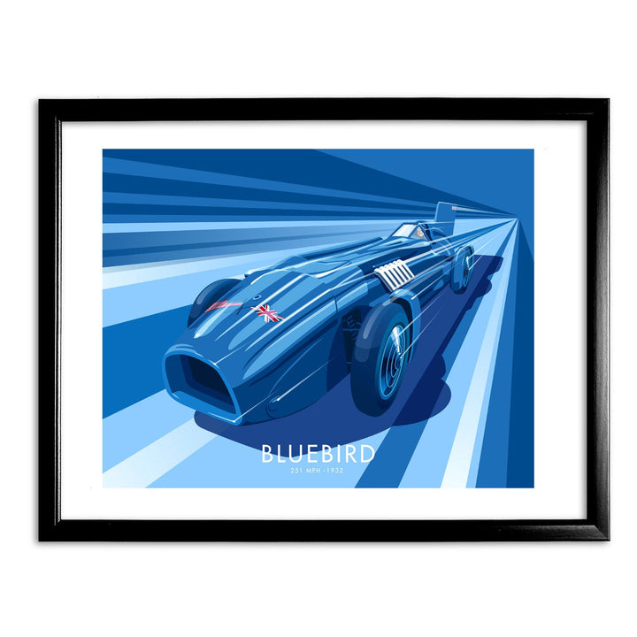 Bluebird Art Print