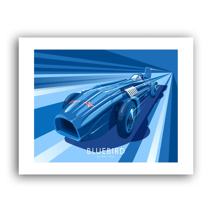 Bluebird Art Print