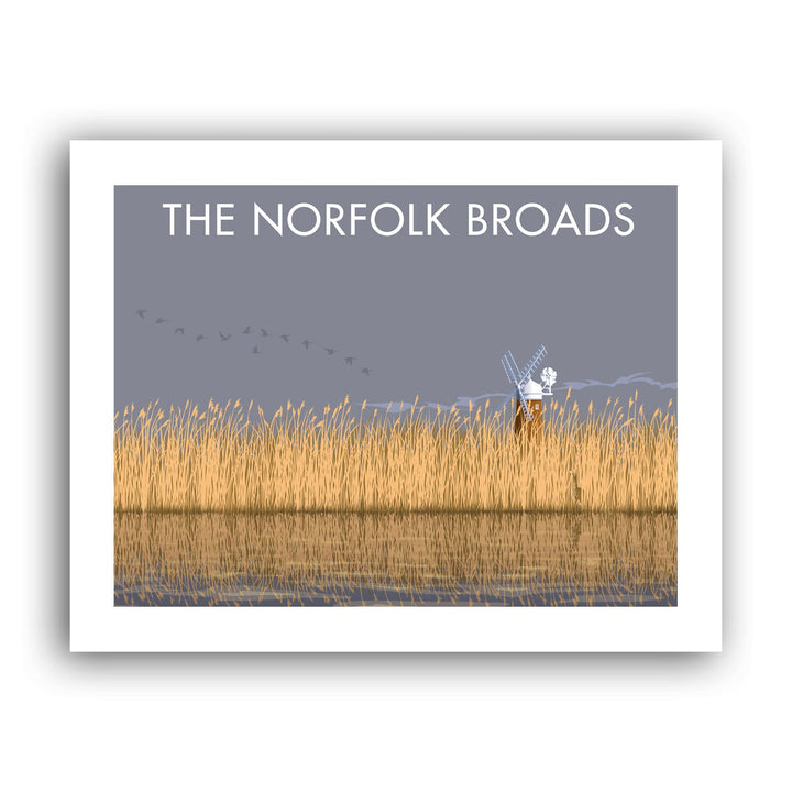 The Norfolk Broads Art Print