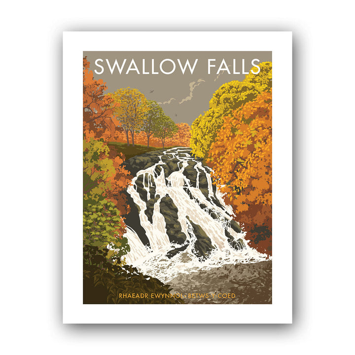 Swallow Falls Art Print