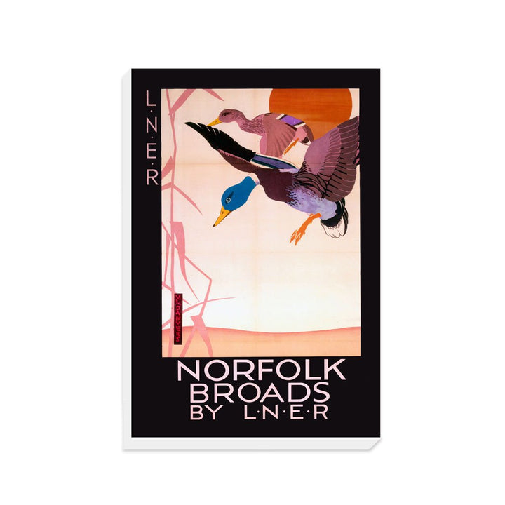 Norfolk Broads Ducks - Canvas