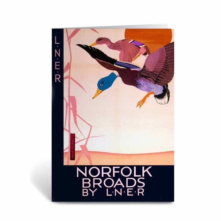 Norfolk Broads Ducks Greeting Card