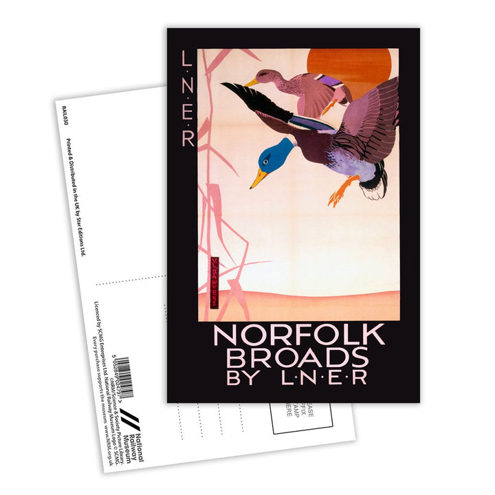 Norfolk Broads Ducks Postcard Pack of 8