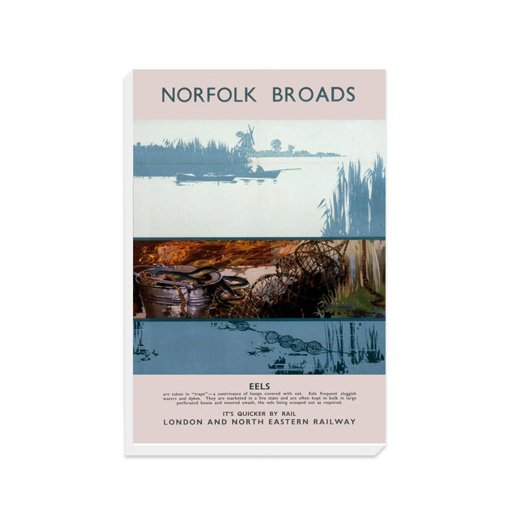 Norfolk Broads - Eels - Canvas