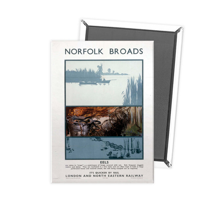 Broads Eels Fridge Magnet