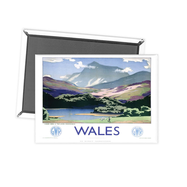 Wales Fridge Magnet