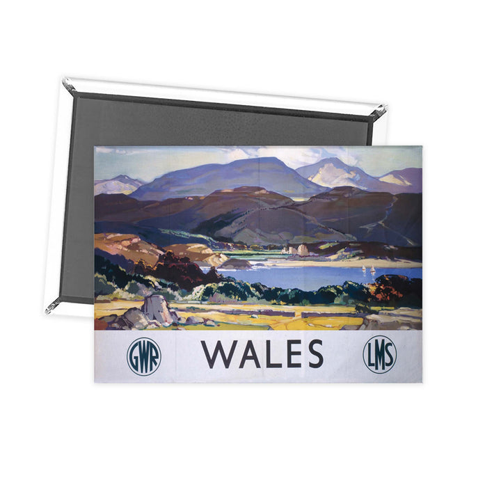 Wales 2 Fridge Magnet