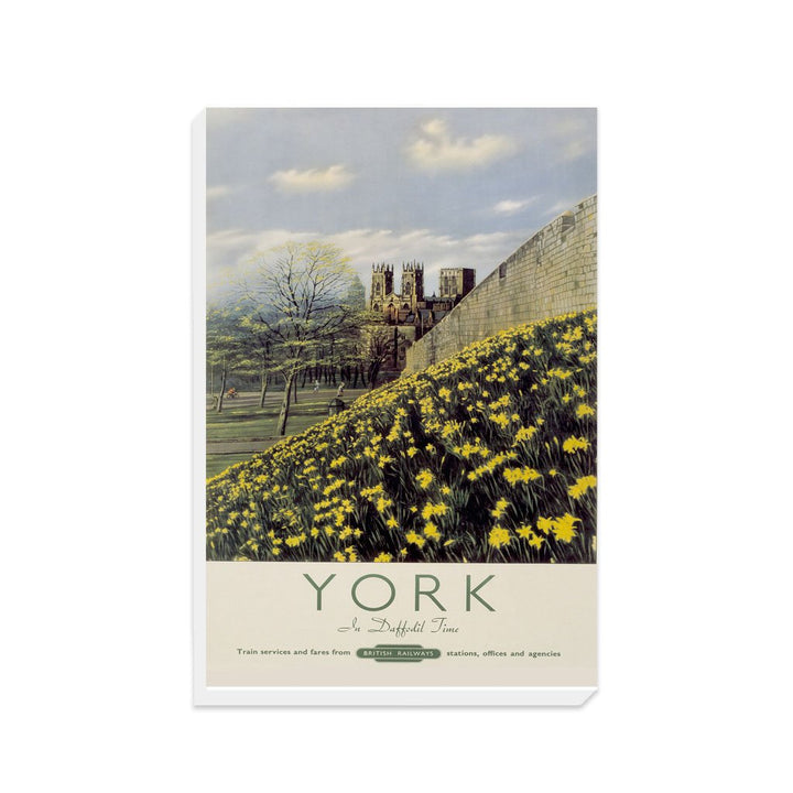 York, Yellow Flowers - Canvas