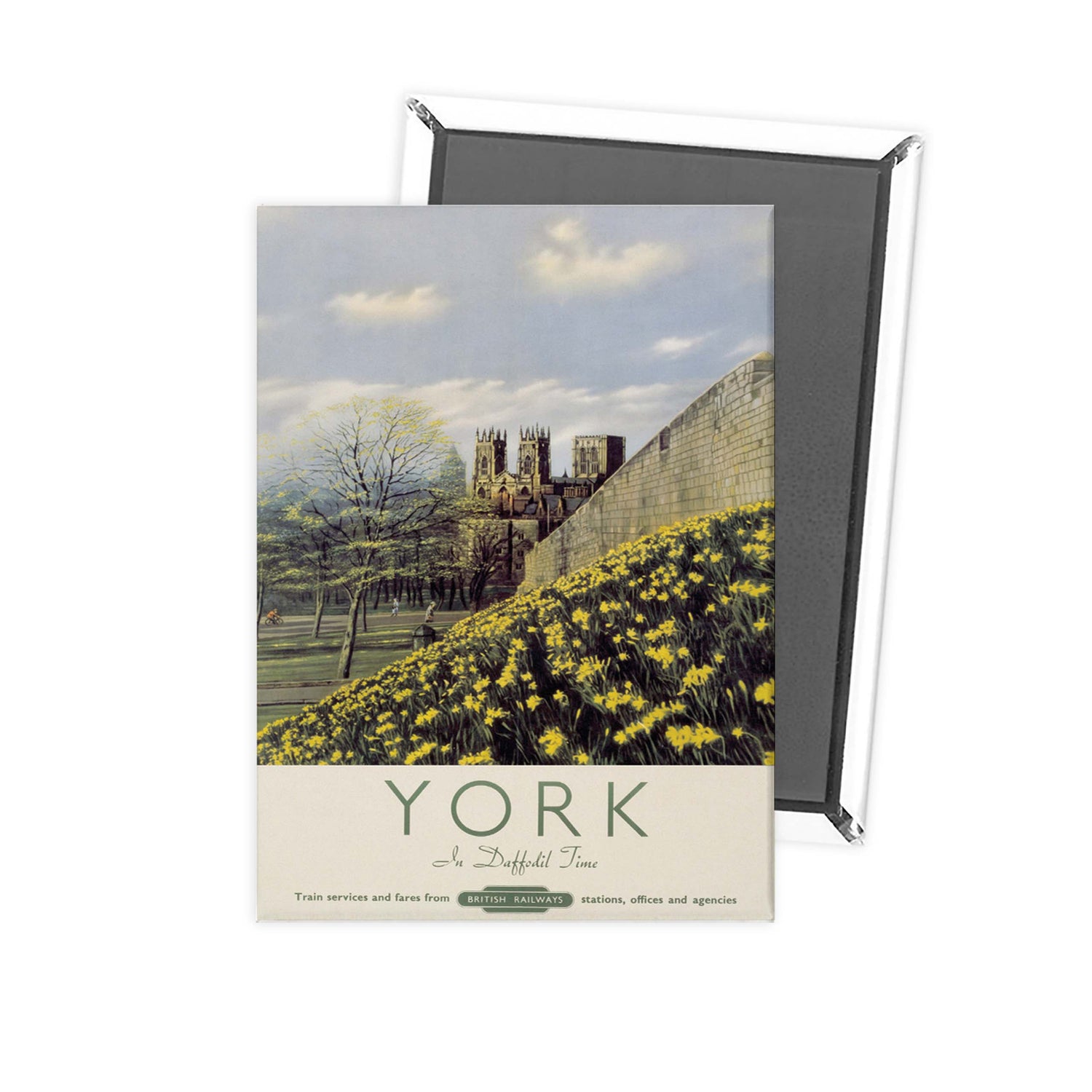 York Yellow Flowers Fridge Magnet