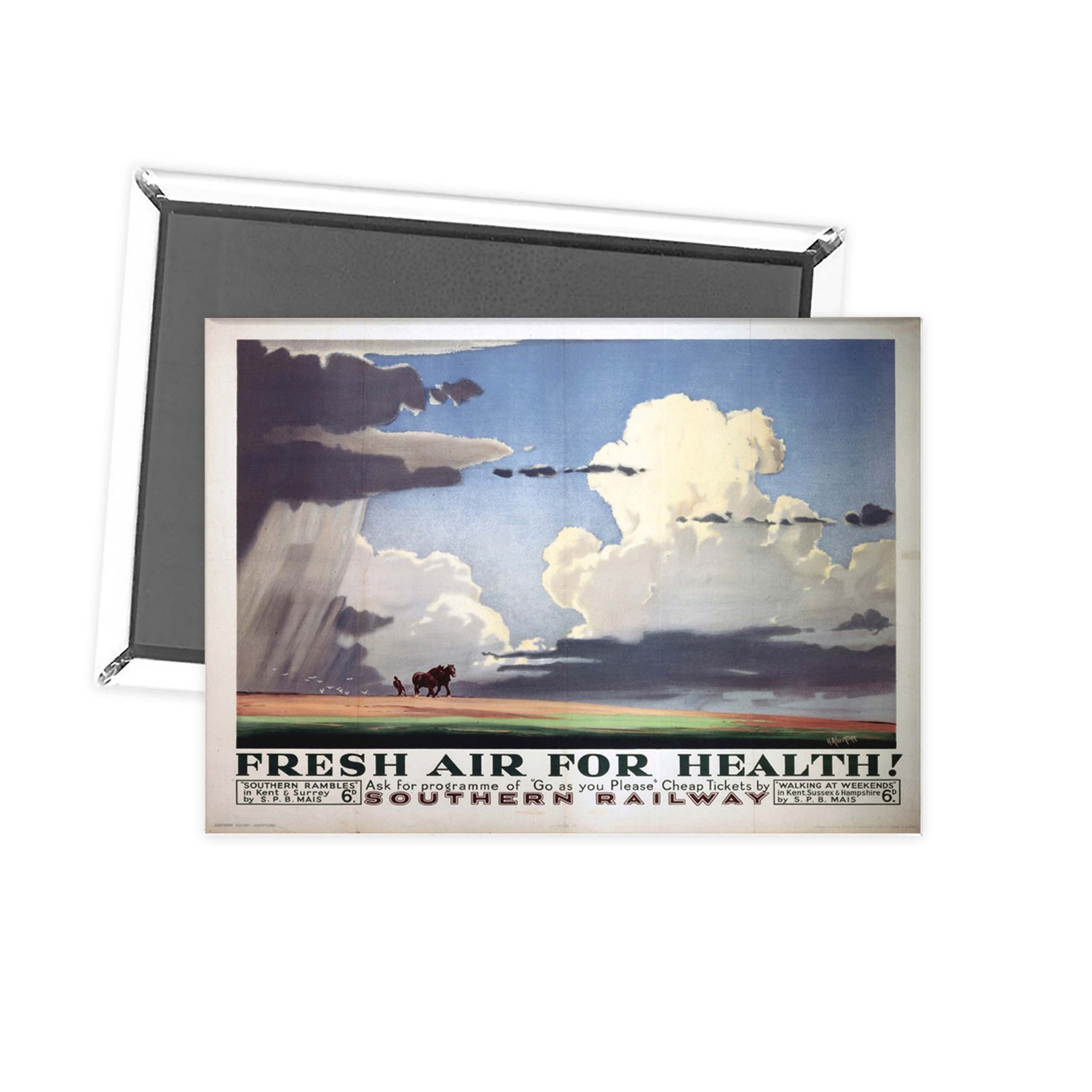 fresh air for health Fridge Magnet