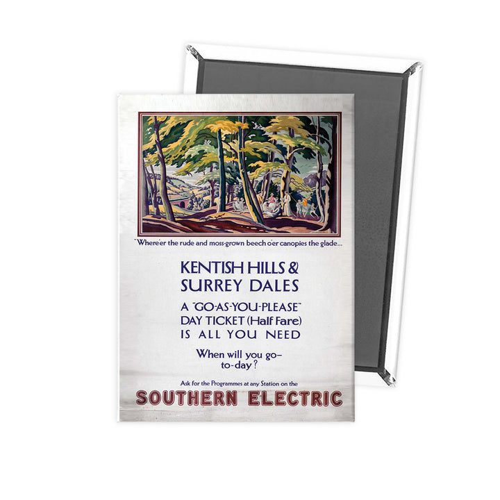southern electric Fridge Magnet