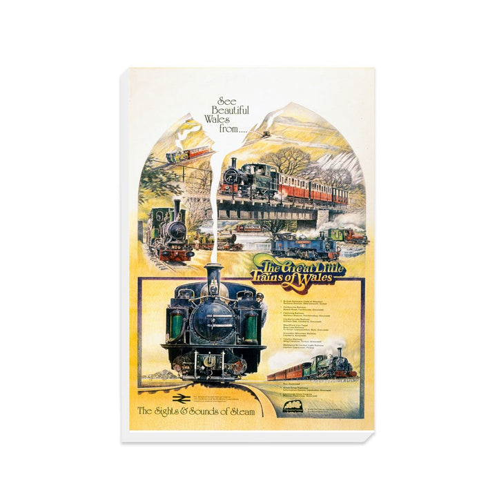 The Great Little Trains of Wales - the sights and sounds of steam - Canvas