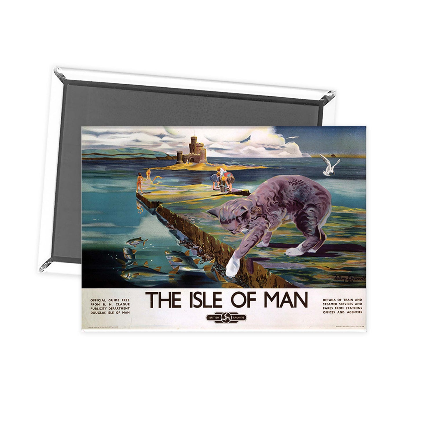 Cat Fishing - The Isle Of Man by British Rail Fridge Magnet