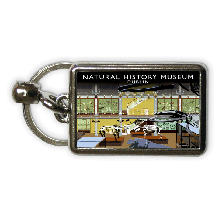 Natural History Museum, Dublin, Ireland Metal Keyring