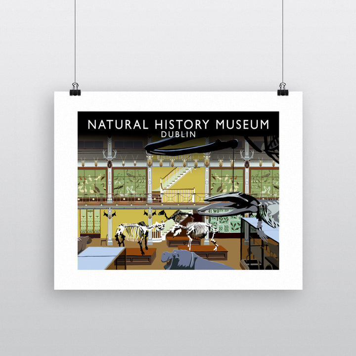 Natural History Museum, Dublin, Ireland 90x120cm Fine Art Print