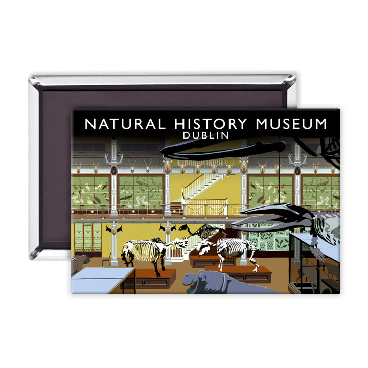 Natural History Museum, Dublin, Ireland Magnet