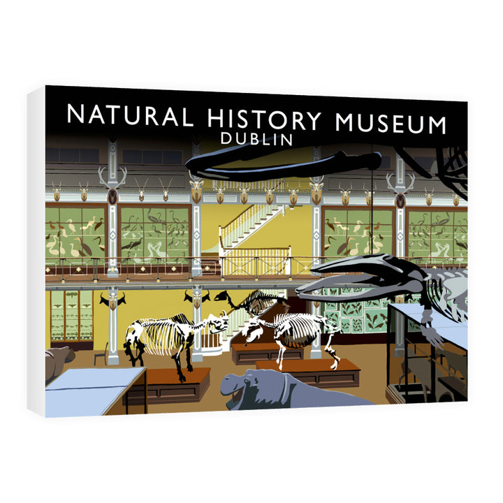 Natural History Museum, Dublin, Ireland 60cm x 80cm Canvas