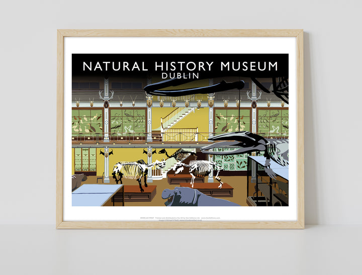 Natural History Museum, Dublin, Ireland - Art Print
