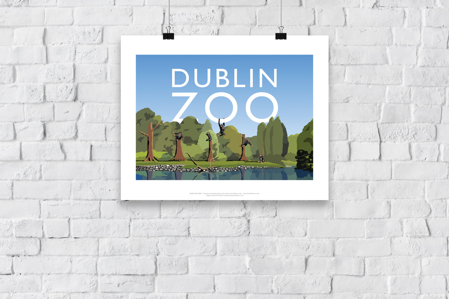 Dublin Zoo, Ireland - Art Print