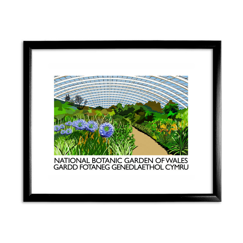 National Botanic Garden of Wales, Wales - Art Print