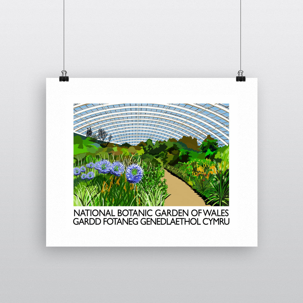 National Botanic Garden of Wales, Wales - Art Print