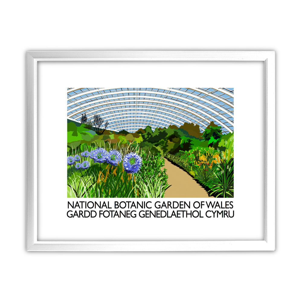 National Botanic Garden of Wales, Wales - Art Print