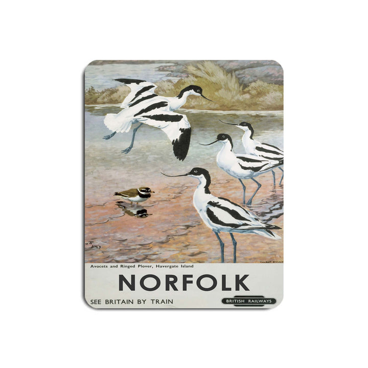 Norfolk - Avocets, Havergate Island - Mouse Mat