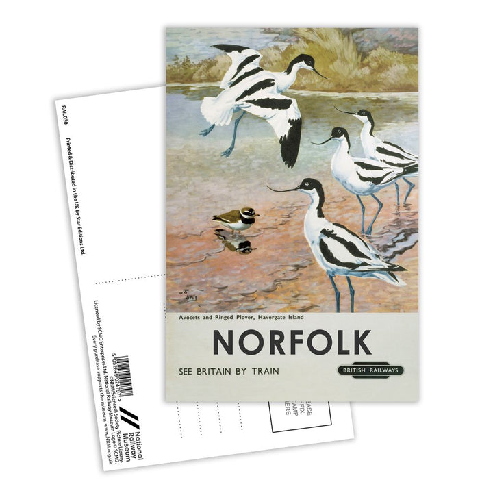 Norfolk - Avocets, Havergate Island Postcard Pack of 8