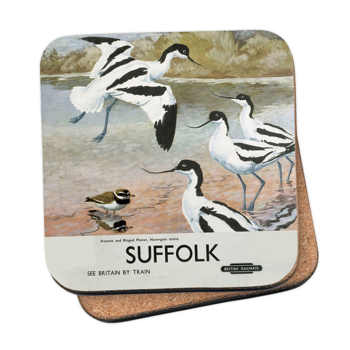 Suffolk - Avocets, Havergate Island Coaster