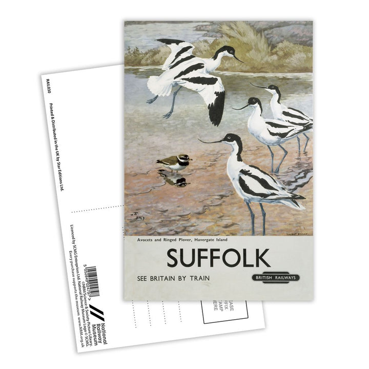 Suffolk - Avocets, Havergate Island Postcard Pack of 8