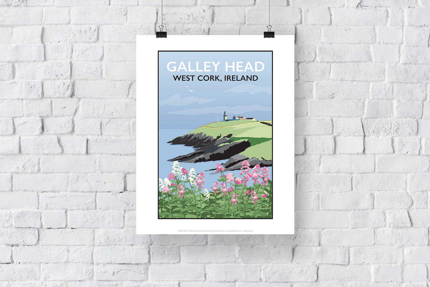 Galley Head, West Cork - Art Print