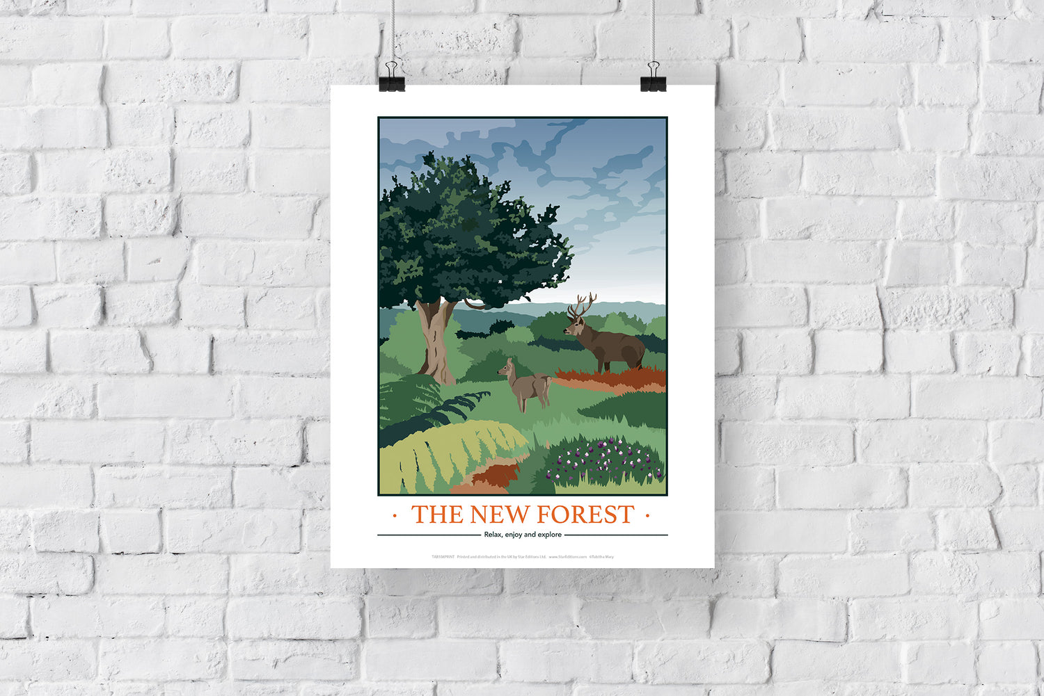 The New Forest, Hampshire - Art Print