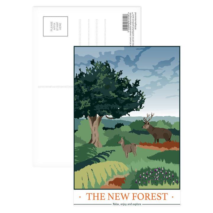 The New Forest, Hampshire Postcard Pack
