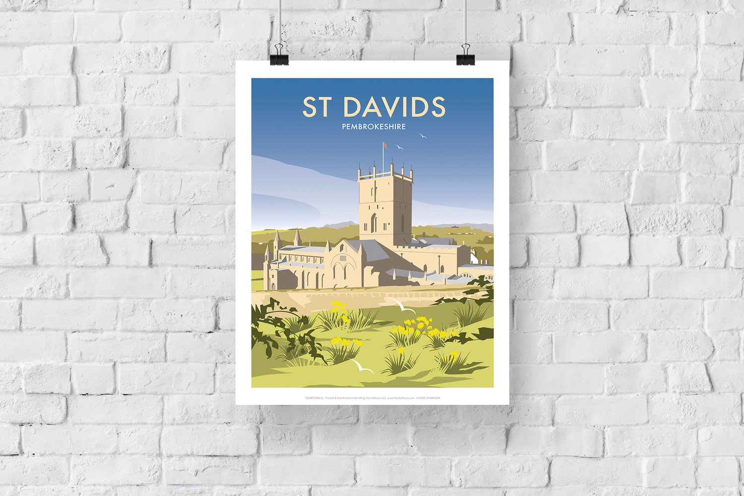 StDavids, Wales - Art Print