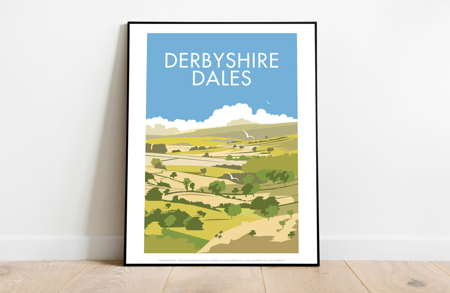 Derbyshire Dales - Art Print