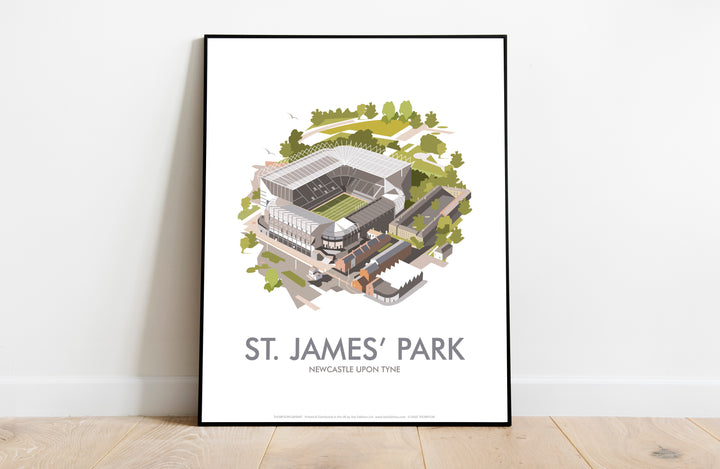 St James Park, Newcastle Upon Tyne - Art Print