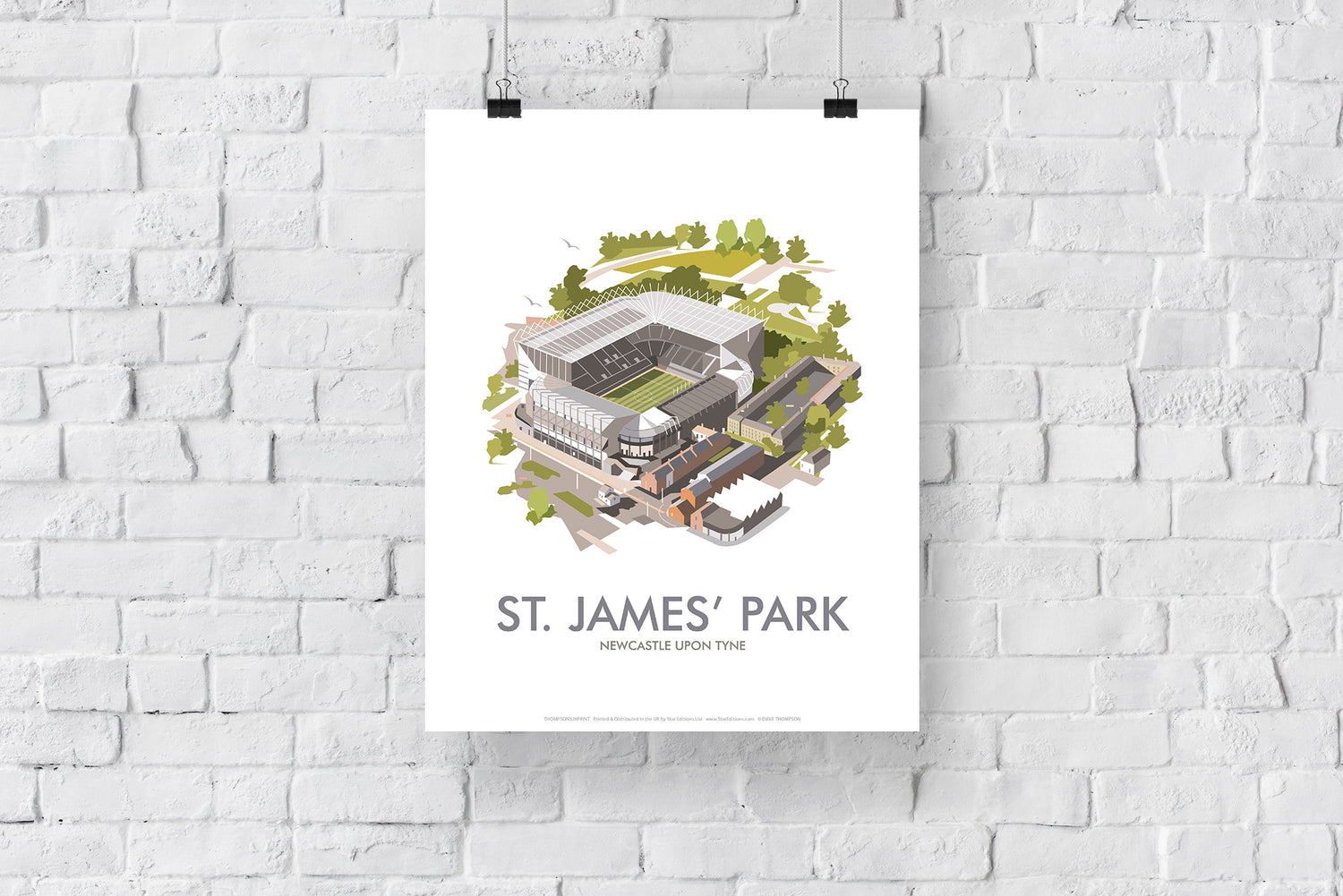 St James Park, Newcastle Upon Tyne - Art Print
