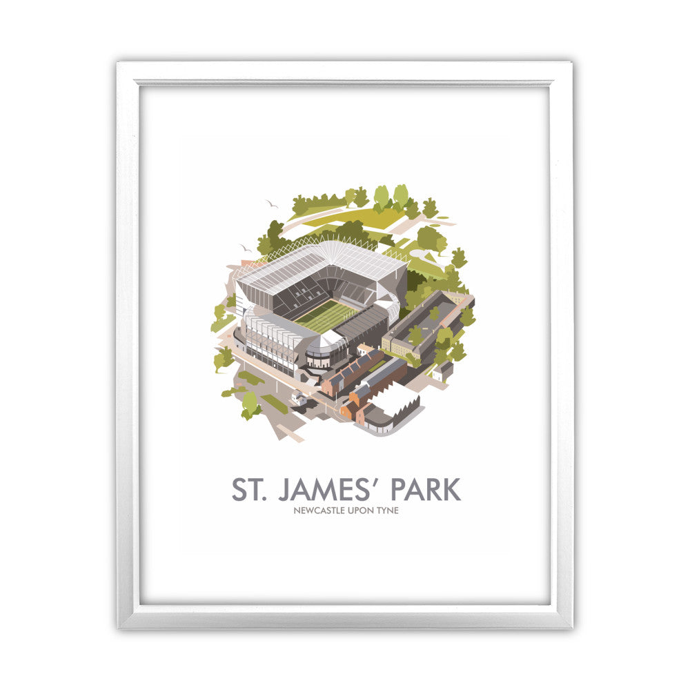St James Park, Newcastle Upon Tyne - Art Print