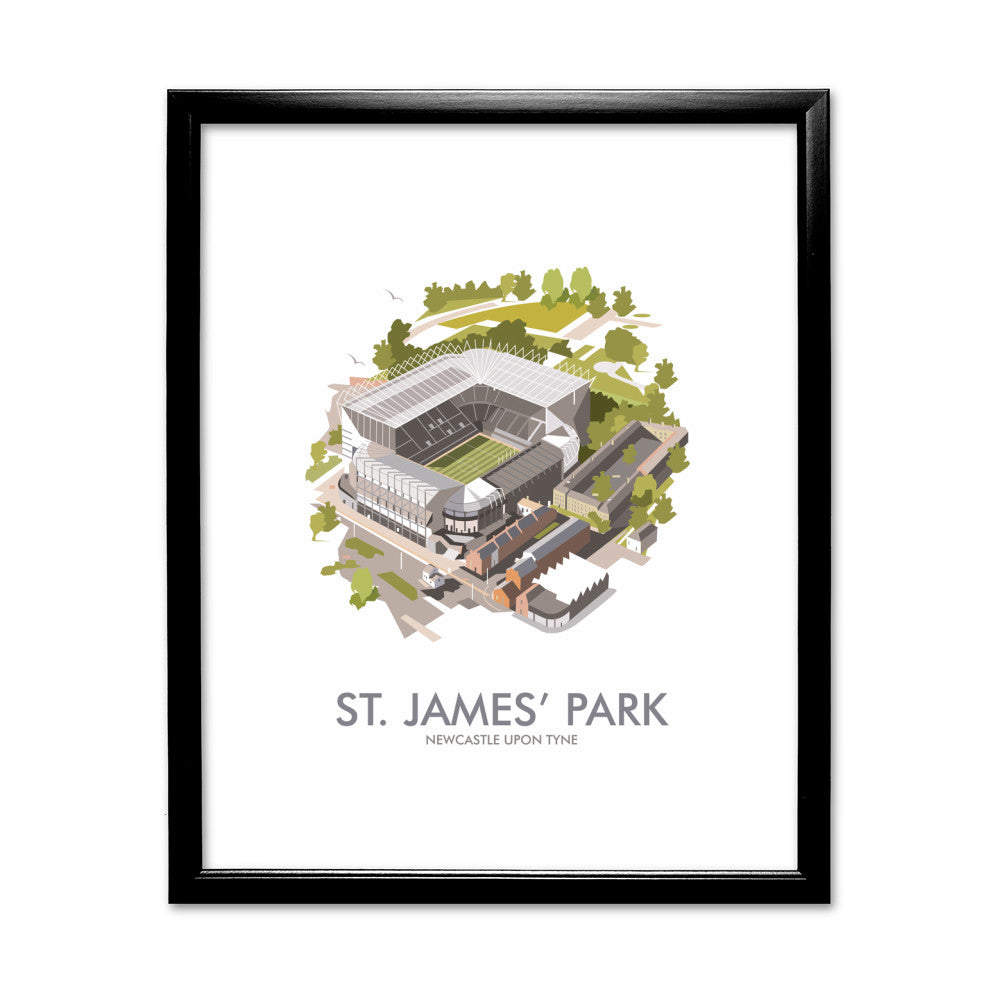 St James Park, Newcastle Upon Tyne - Art Print