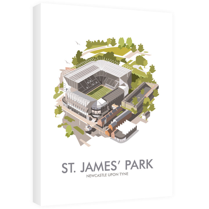 St James Park, Newcastle Upon Tyne 40cm x 60cm Canvas