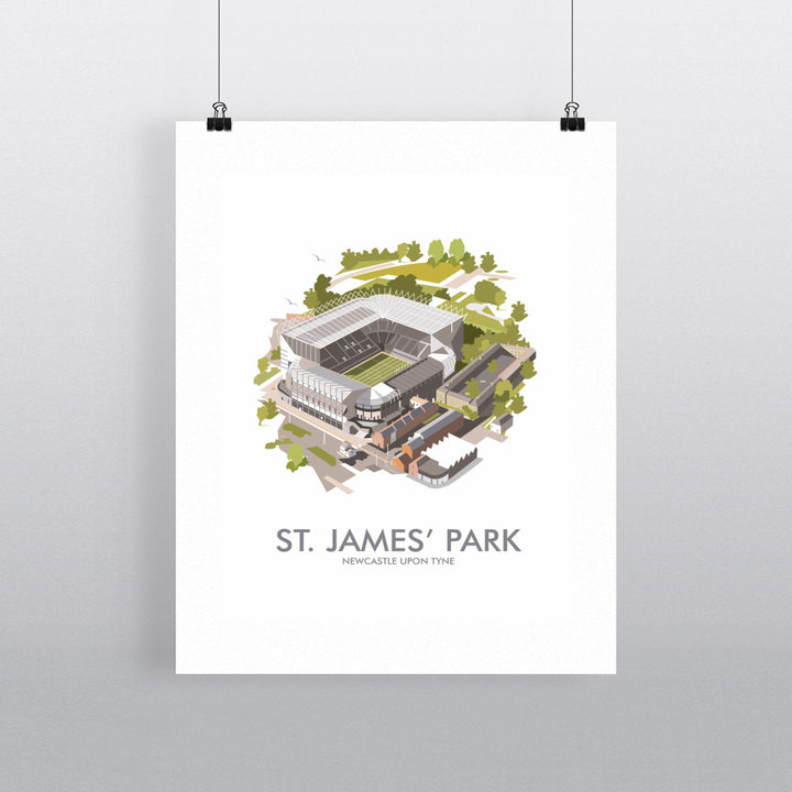 St James Park, Newcastle Upon Tyne 90x120cm Fine Art Print