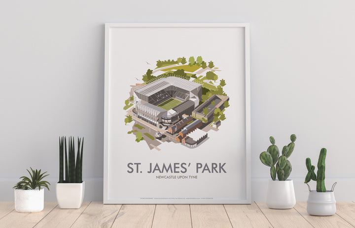 St James Park, Newcastle Upon Tyne - Art Print