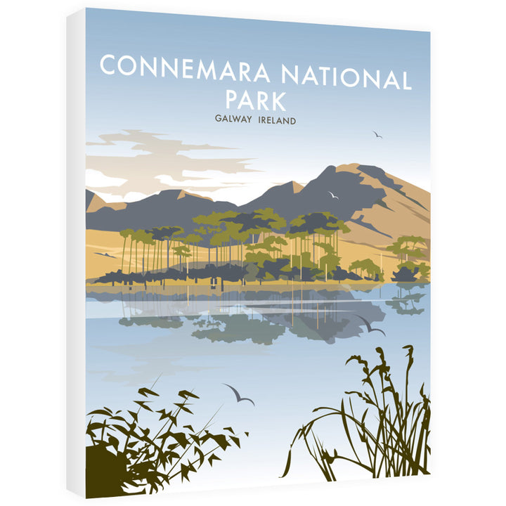 Connemara National Park, Galway Ireland 40cm x 60cm Canvas